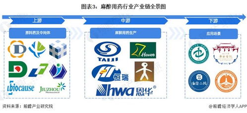 预见2024 2024年中国麻醉用药行业全景图谱 附市场现状 竞争格局和发展趋势等