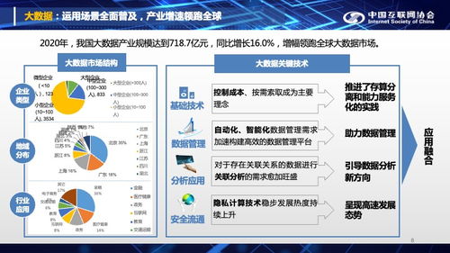 2021中国互联网大会 中国互联网发展报告 2021 在京发布