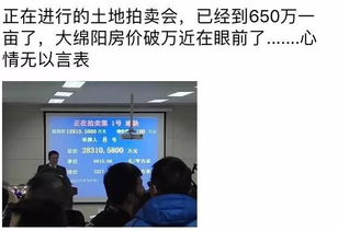 定了 世界互联网安全企业巨头360即将入驻绵阳