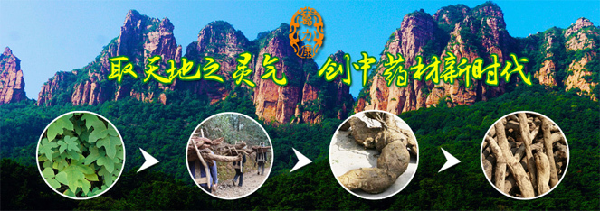 教育新闻图