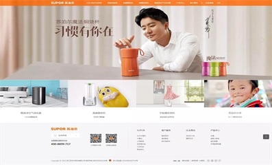 PC+手机网站开发【成都 绵阳优先】