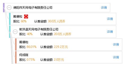 绵阳市天网电子有限责任公司