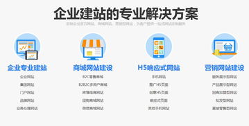 绵阳网站二次开发