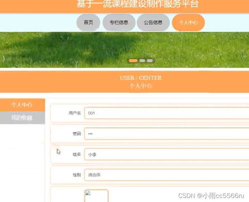 Python与Vue全栈实践 基于Django的精品课程平台建设与绵阳网站开发详解