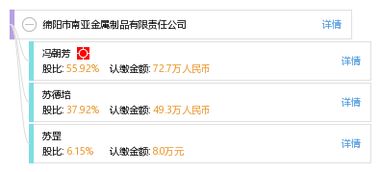 绵阳市南亚金属制品有限责任公司网站开发解决方案