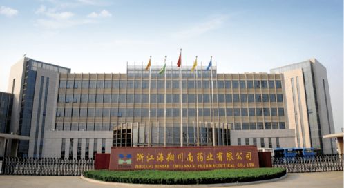 团暖十条 真心实意丨与临海青年共度临海年